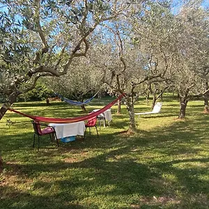 Apartman Gabriela, Poreč